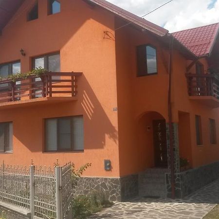 Pensiunea Adi Săpînţa Exterior foto