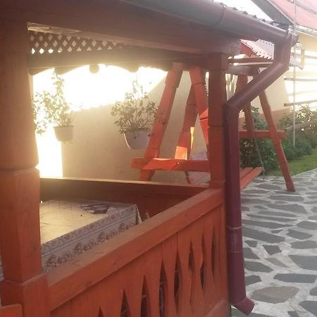 Pensiunea Adi Săpînţa Exterior foto